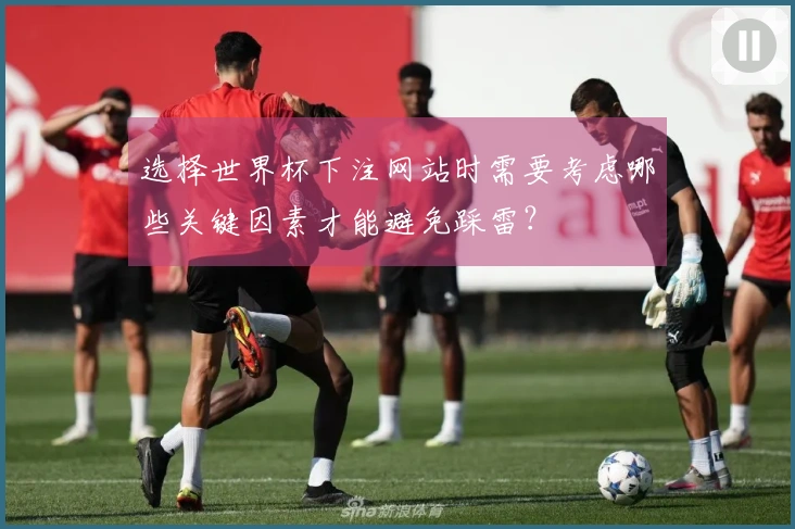 选择世界杯下注网站时需要考虑哪些关键因素才能避免踩雷？