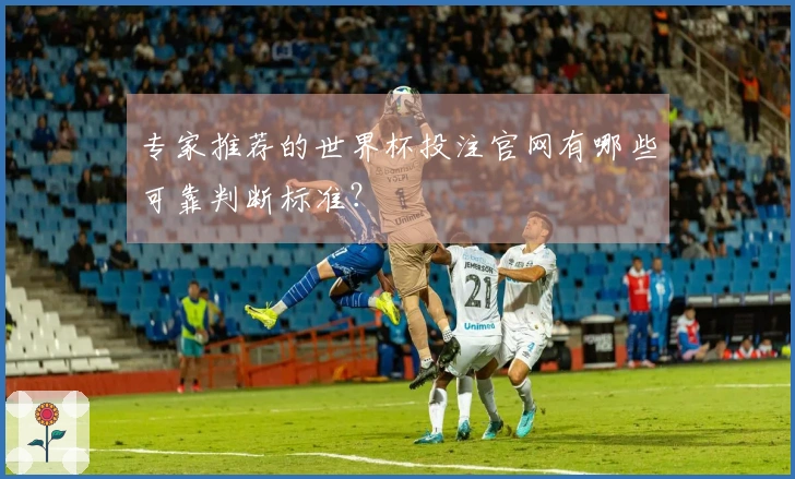 专家推荐的世界杯投注官网有哪些可靠判断标准？
