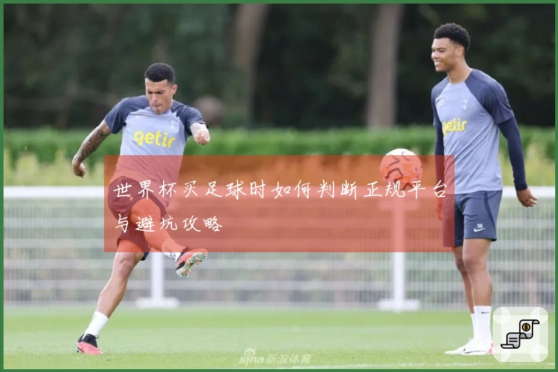 世界杯买足球时如何判断正规平台与避坑攻略