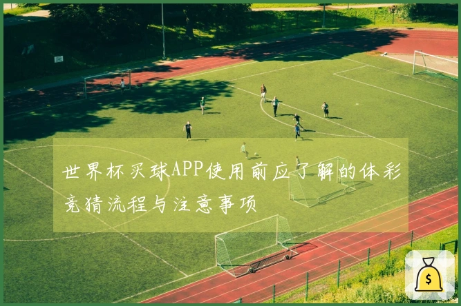 世界杯买球APP使用前应了解的体彩竞猜流程与注意事项