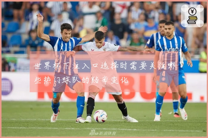 世界杯下注入口选择时需要关注哪些热门球队的赔率变化