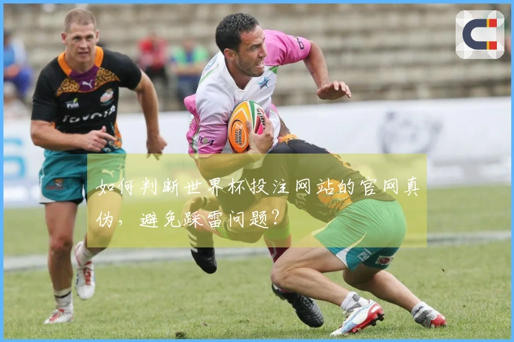 如何判断世界杯投注网站的官网真伪，避免踩雷问题？