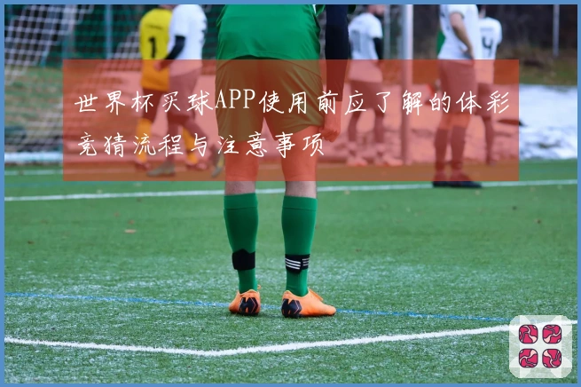 世界杯买球APP使用前应了解的体彩竞猜流程与注意事项