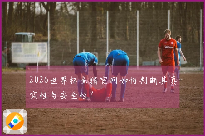 2026世界杯竞猜官网如何判断其真实性与安全性？