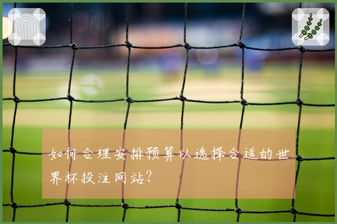 如何合理安排预算以选择合适的世界杯投注网站？