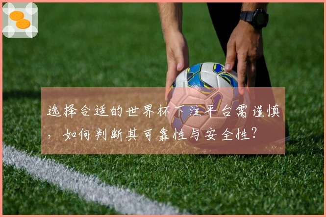 选择合适的世界杯下注平台需谨慎，如何判断其可靠性与安全性？