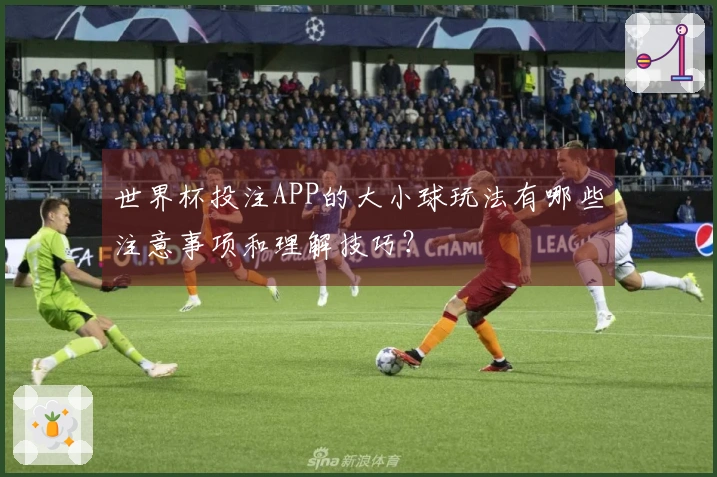 世界杯投注APP的大小球玩法有哪些注意事项和理解技巧？