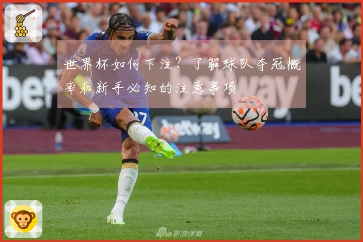 世界杯如何下注？了解球队夺冠概率和新手必知的注意事项
