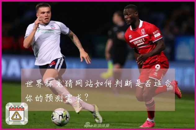 世界杯竞猜网站如何判断是否适合你的预测需求？