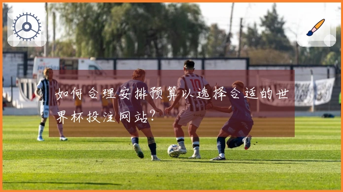 如何合理安排预算以选择合适的世界杯投注网站？