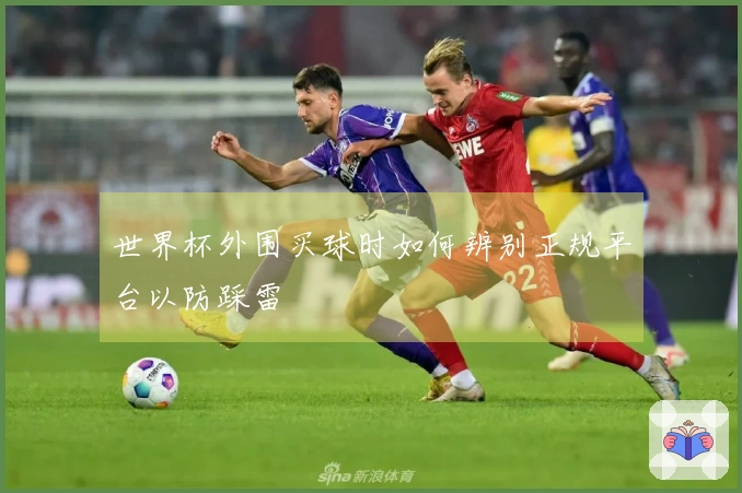 世界杯外围买球时如何辨别正规平台以防踩雷