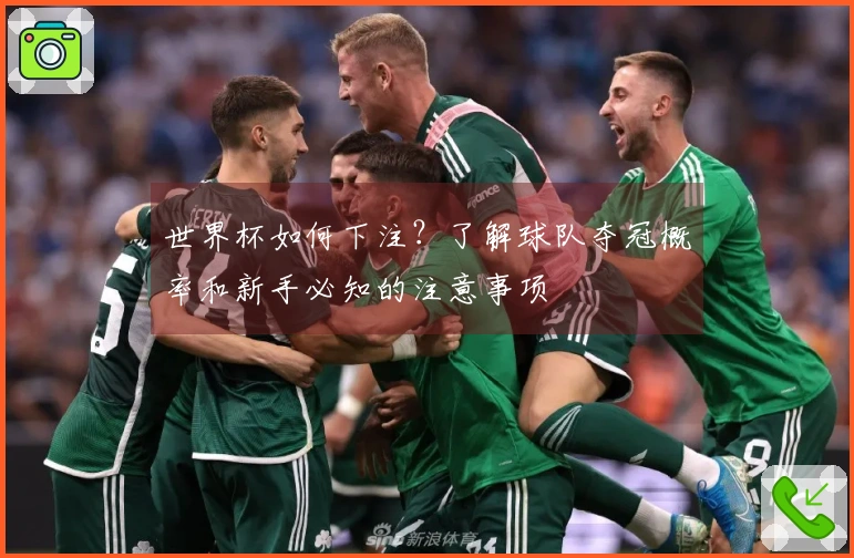 世界杯如何下注？了解球队夺冠概率和新手必知的注意事项