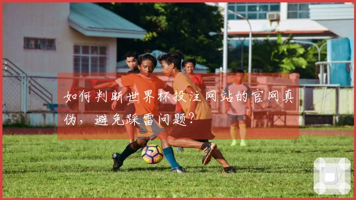 如何判断世界杯投注网站的官网真伪，避免踩雷问题？