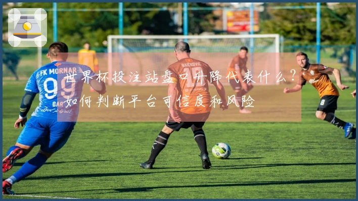 世界杯投注站盘口升降代表什么？如何判断平台可信度和风险