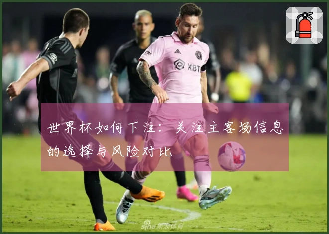 世界杯如何下注：关注主客场信息的选择与风险对比