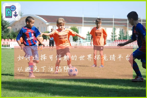 如何选择可信赖的世界杯竞猜平台以避免下注陷阱