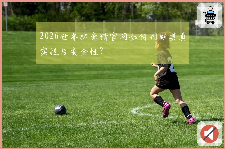2026世界杯竞猜官网如何判断其真实性与安全性？