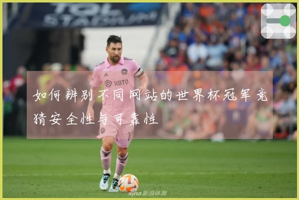 如何辨别不同网站的世界杯冠军竞猜安全性与可靠性