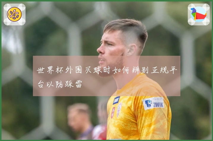 世界杯外围买球时如何辨别正规平台以防踩雷
