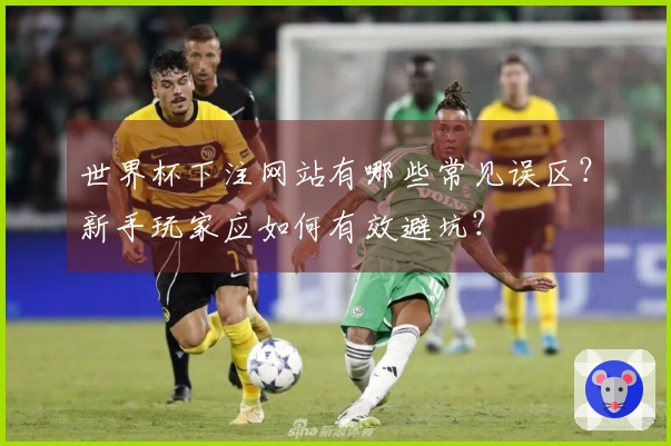 世界杯下注网站有哪些常见误区？新手玩家应如何有效避坑？