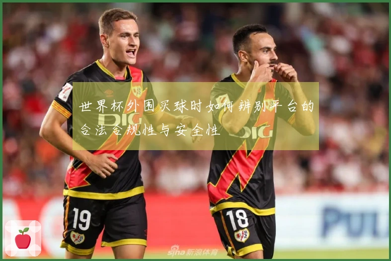 世界杯外围买球时如何辨别平台的合法合规性与安全性