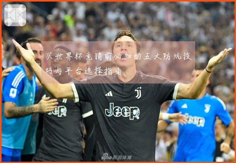 买世界杯竞猜前必知的五大防坑技巧与平台选择指南
